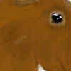 custom by #623: meet Collin the giant squirrel, a present for Pomplamoosefan and her squirrel army... maybe you should get one too...